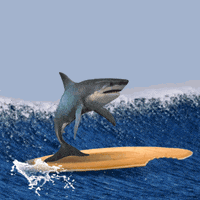 wave surf GIF by Robbie Cobb