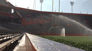 football field GIF by University of Florida