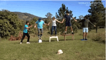 fence fries world's funniest fails GIF by World’s Funniest