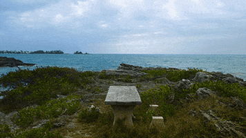 ocean bench GIF by Doctor Popular