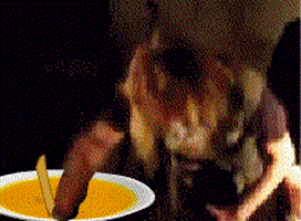lucianoferreira barf vomito soup sopa GIF