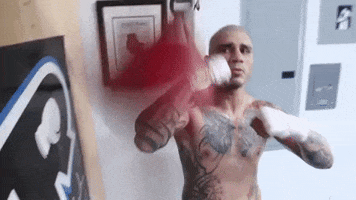Boxing Rocnationsports GIF by Miguel Cotto