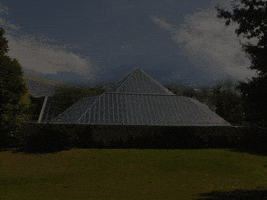 Confused Film GIF by irgum