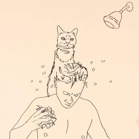 Cat Man GIF by Tim