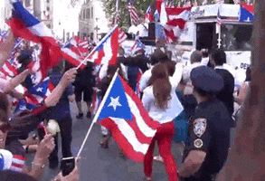 puerto rico flag GIF