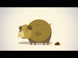 yonatanwinter funny animation dog loop GIF