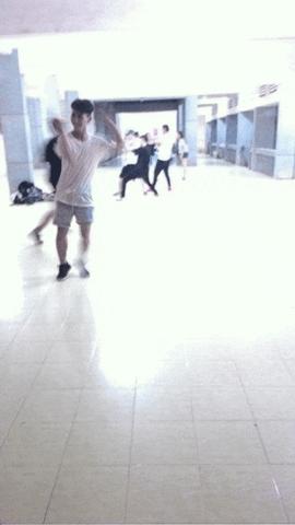 eagle  GIF