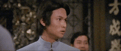martial arts challenge of the ninja GIF by Shaw Brothers