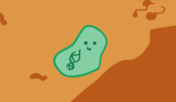 bacteria microbes GIF by University of California
