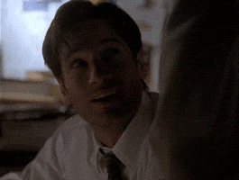 X Files Love GIF by The X-Files