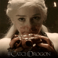 game of thrones hbo GIF by Catch Drogon