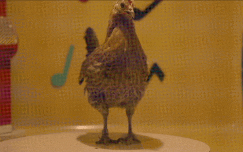 Evil Chicken GIFs - Get the best GIF on GIPHY
