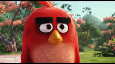 Angry Birds Space Gifs Get The Best Gif On Giphy