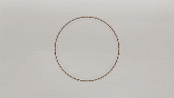 sofimarquez  GIF