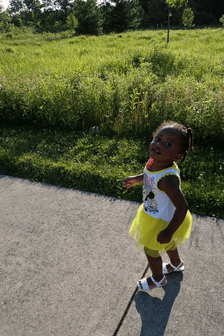 mauricehenson walking henson ptaomae GIF