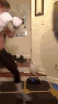 Boxing Rocnationsports GIF by Dustin Fleischer