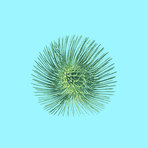 krikrak animated GIF