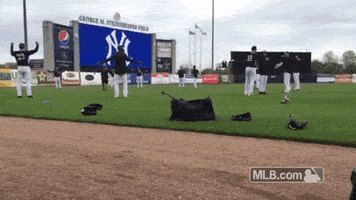 2015 GIF by MLB