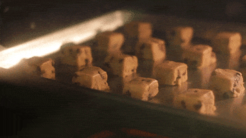 berlitzcorporation  GIF