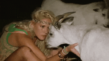 Goat Kiss GIF by Party Down South