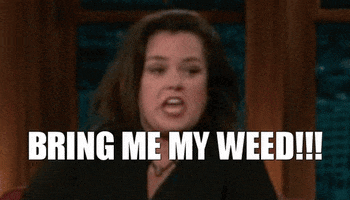 dude778778 weed rosie odonnell GIF