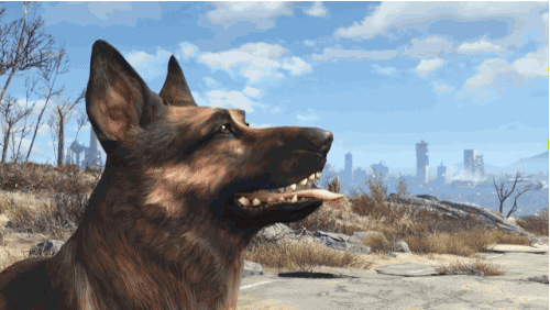 Fallout 4 GIF - Find & Share on GIPHY