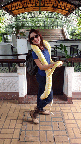 liliamfernandes  GIF