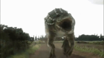 jurghuberortega dgsdgfdfdf GIF