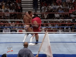 wwe sports wwe wrestling 1993 GIF
