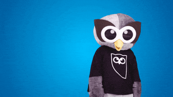Creating Big Idea GIF by Hootsuite