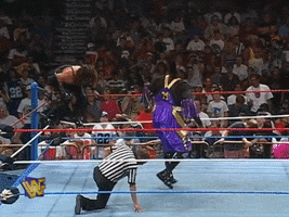 Summerslam 1995 Wrestling GIF by WWE