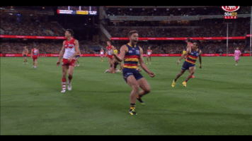 adelaidecrows reactions celebrations adelaide crows rory atkins GIF