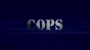 200.webp