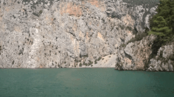 q-blog wakacje GIF