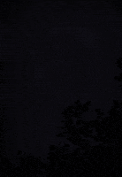 Art Lightning GIF by davestrick