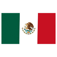 mexico GIF by Latinoji