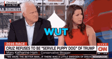 mkhammer donald trump 2016 ted cruz GIF