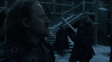 viselaba game of thrones got jon snow benfica GIF