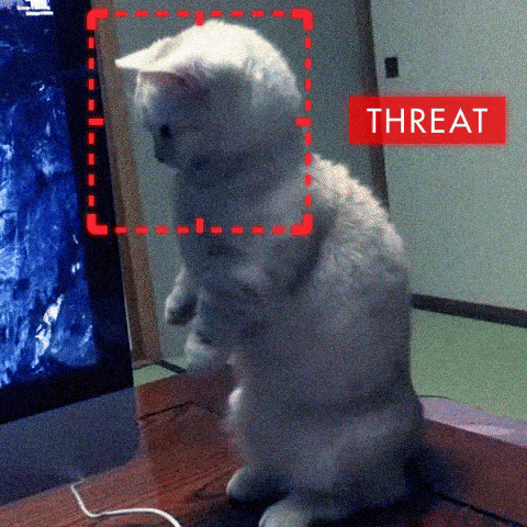 Person Of Interest GIF