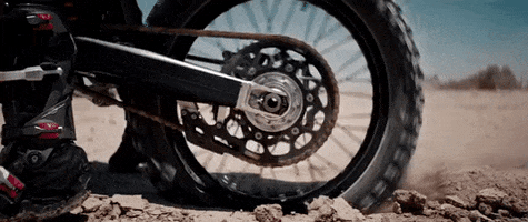 200.gif?cid=fc005b0860204fdc346bc739c68361d0e8fb06a66336f310&rid=200.gif&ct=g