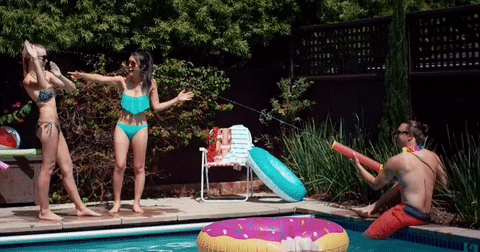 giphy.gif