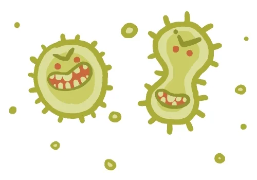 Bacteria Microbiology GIF