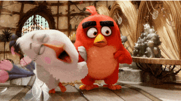 Get Excited Anger Management GIF by Angry Birds