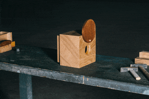 christianbono jackdaniels jacksway GIF