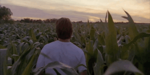 Image result for Field-of-Dreams gif