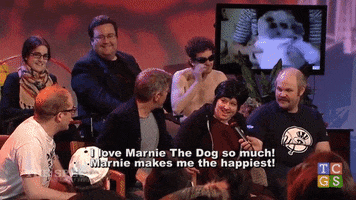 marnie the dog GIF by The Special Without Brett Davis
