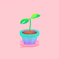 plant grow GIF by Michael Shillingburg