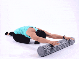 dimitri_g grid foam roller triggerpoint foam rolling GIF