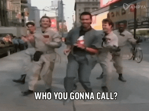 Image result for who you gonna call gif