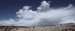 time lapse desert GIF by Pearl Lion